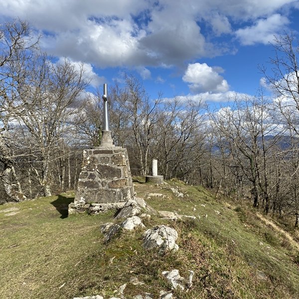 Tontorra