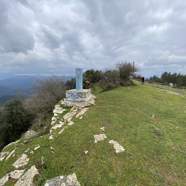 Tontorra