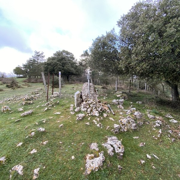 Tontorra