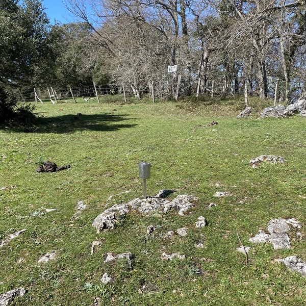 Tontorra