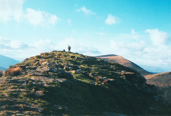 Tontorra