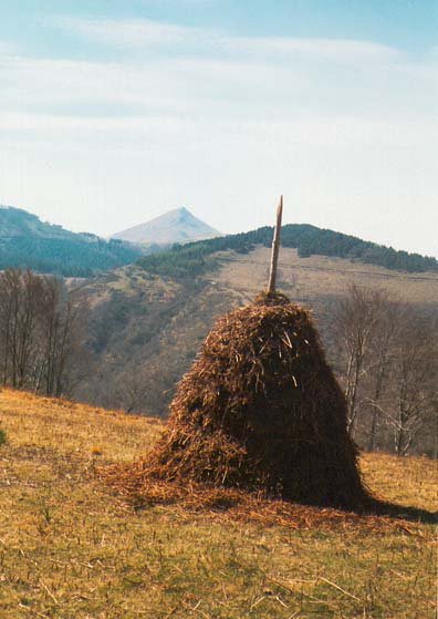 Inguruak