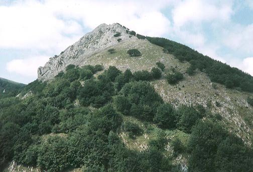 Iparraldetik