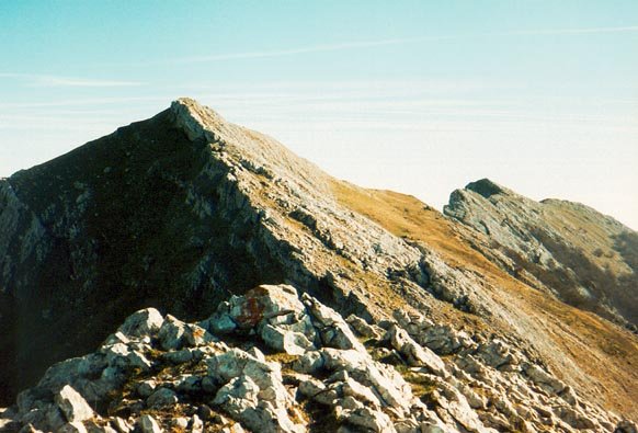 Tontorra