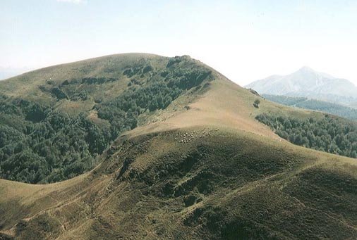 Mendebaldetik