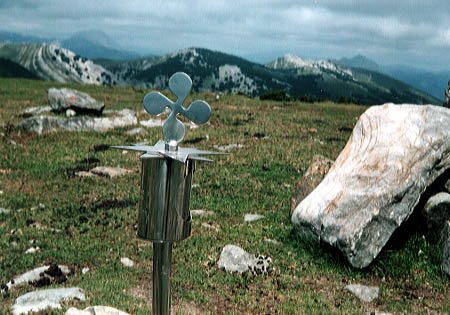 Buzoia