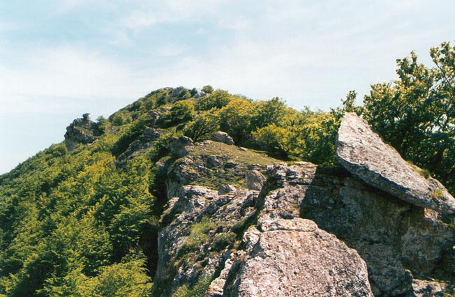Ekialdeko ertza