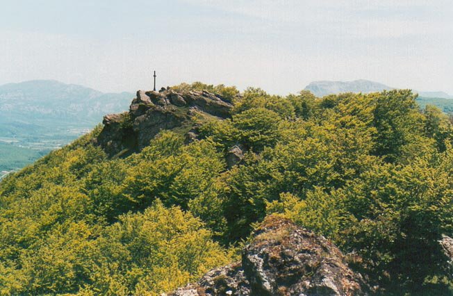 Tontorra ekialdetik