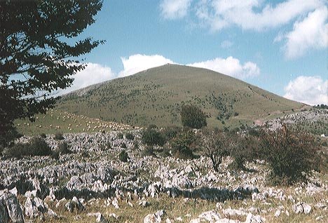 Tontorra