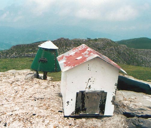 Buzoia