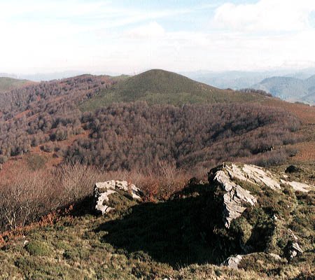 Irakurritik