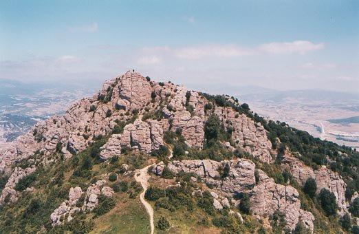 Tontorra