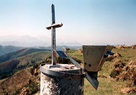 Buzoia