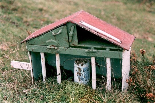 Buzoia