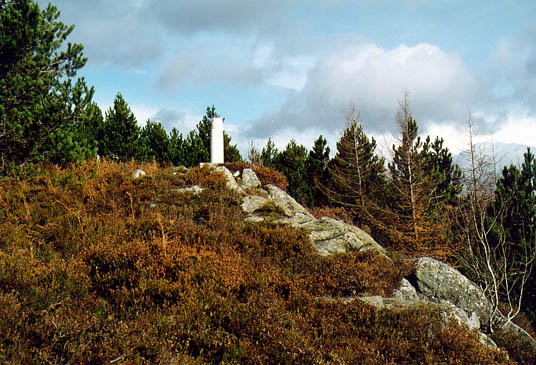 Tontorra