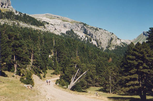 El Trapal ingurua