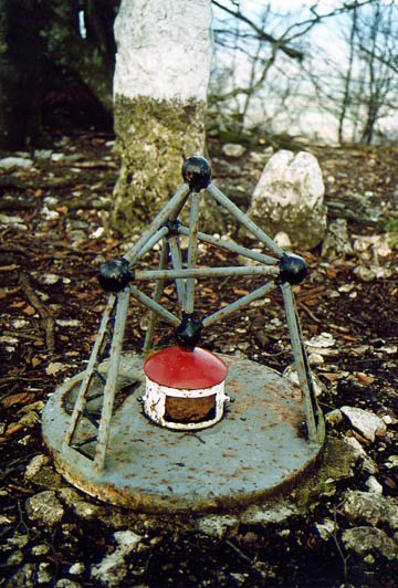 Buzoia