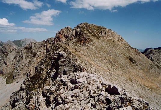 Tontorra