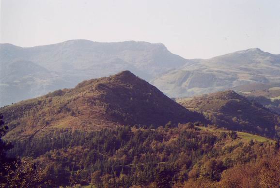 Tontorra