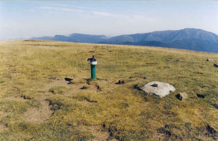 Tontorra
