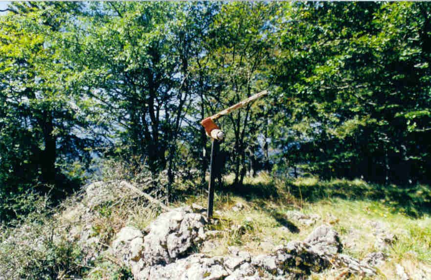 Tontorra