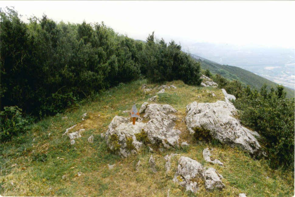 Tontorra