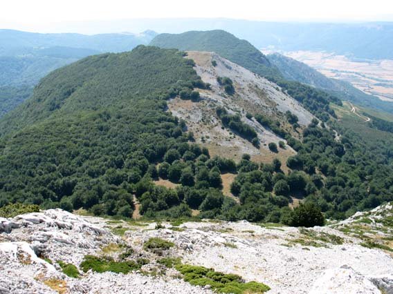 Imelekutik (Mtik)