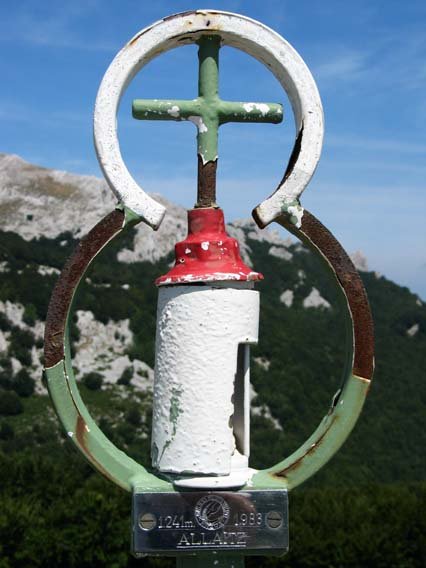 Buzoia