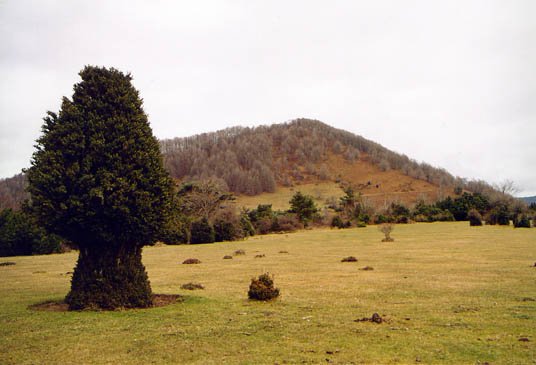 Azegiko larreetatik