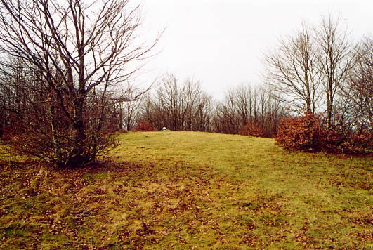 Zotalar gaina