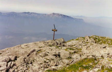 Tontorra