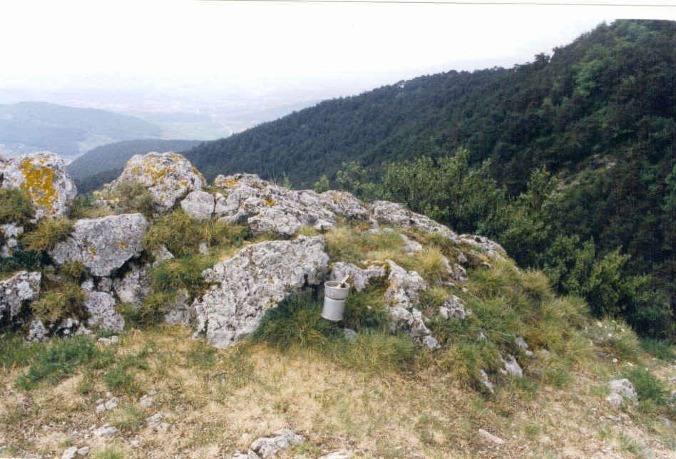 Tontorra