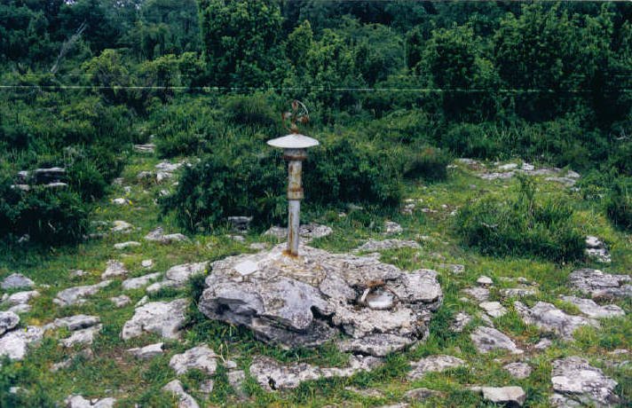 Tontorra
