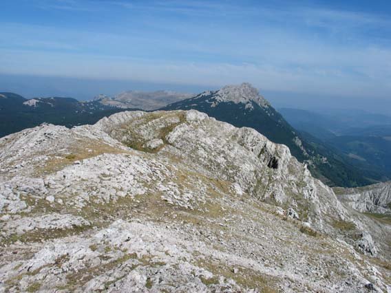 Gailurra
