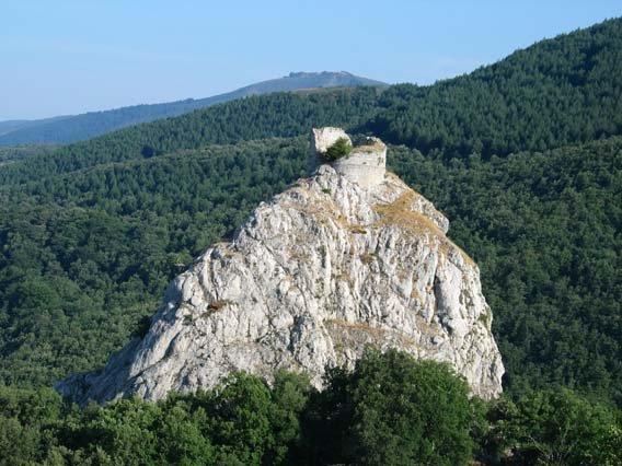 Morutegiko haitza