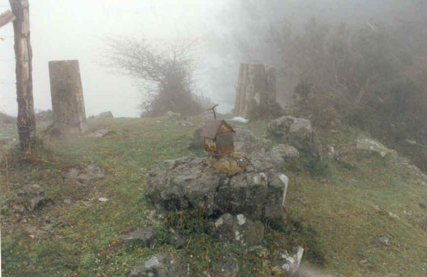 Tontorra