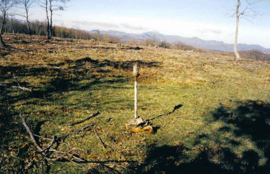 Tontorra