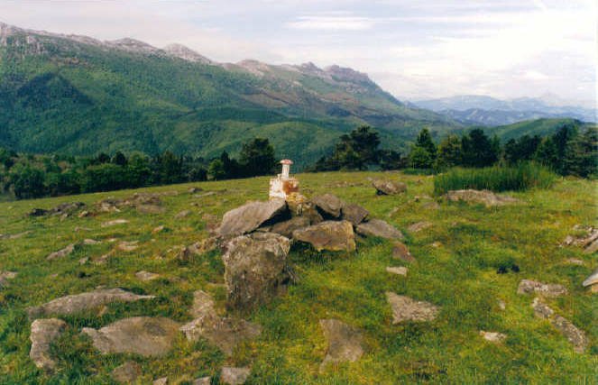 Tontorra