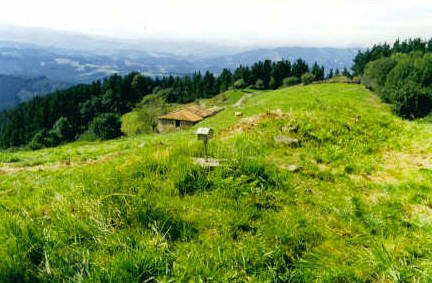 Tontorra