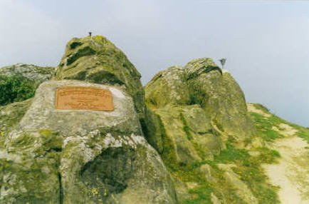 Tontorra