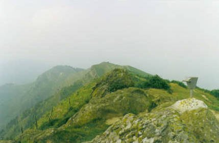 Tontorra