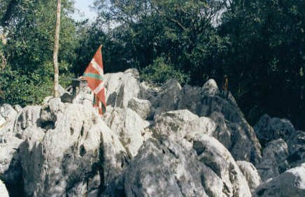 Tontorra