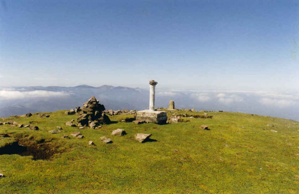 Tontorra