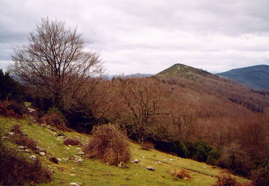 Gurutxagako lepotik