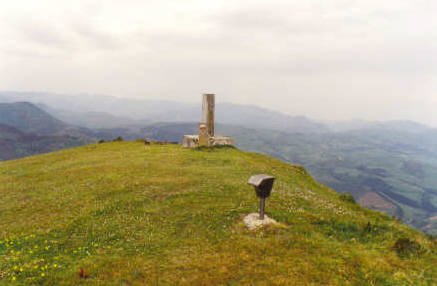 Tontorra