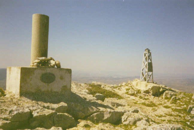Tontorra