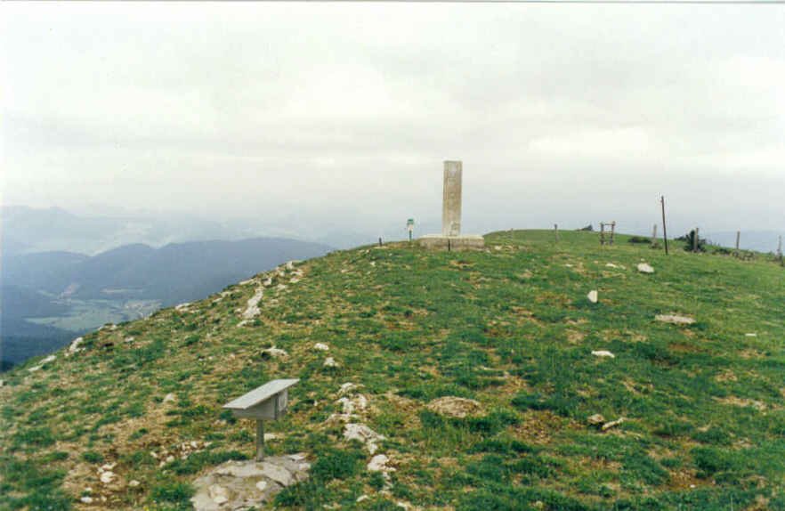 Tontorra