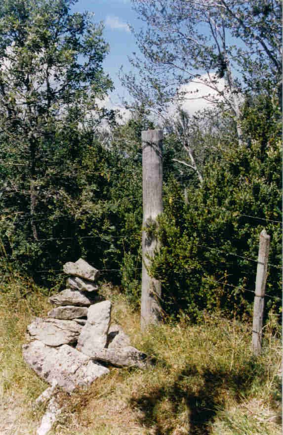 Tontorra