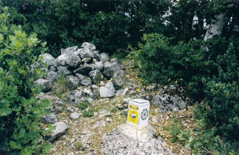 Tontorra