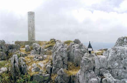 Tontorra